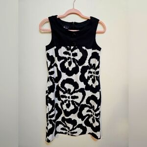 AB Studio size 2 abstract knee length shift dress